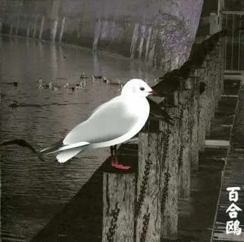 CD Merzbow: Yurikamome: 13 Japanese Birds Pt. 3 LTD