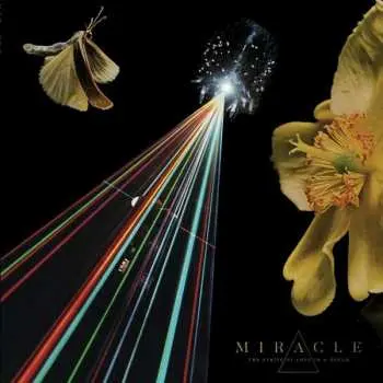 LP Miracle: The Strife Of Love In A Dream