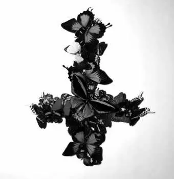 CD Monarch: Never Forever