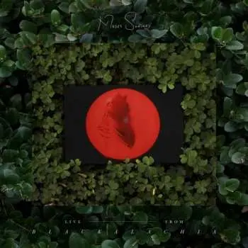 2LP Moses Sumney: Live From Blackalachia LTD | CLR