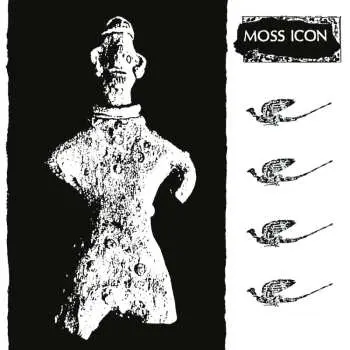 LP Moss Icon: Lyburnum Wits End Liberation Fly CLR