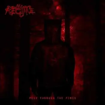 CD My Regime: Peek Through The Pines LTD | DIGI