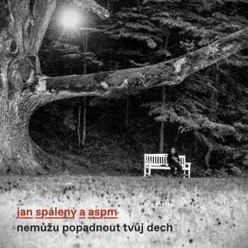 Jan Spálený & ASPM: Nemůžu popadnout tvůj dech - Jan Spálený & ASPM