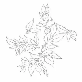 CD Nhor: Momenta Quintae Essentiae DIGI