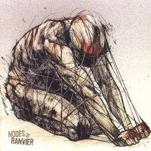 CD Nodes Of Ranvier: Nodes Of Ranvier