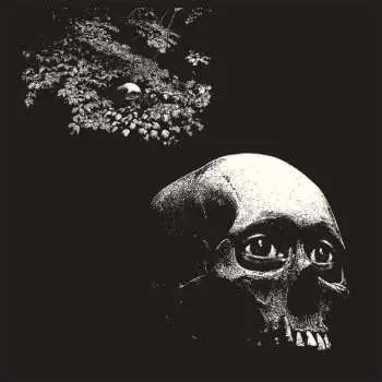 CD Thee Oh Sees: A Foul Form