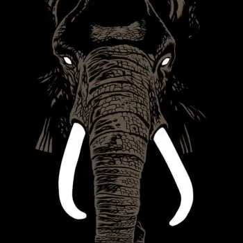 LP Palm Unit: Don't Buy Ivory Anymore - The Music Of Henri Texier