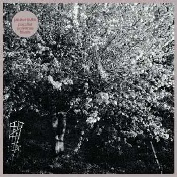 CD Papercuts: Parallel Universe Blues