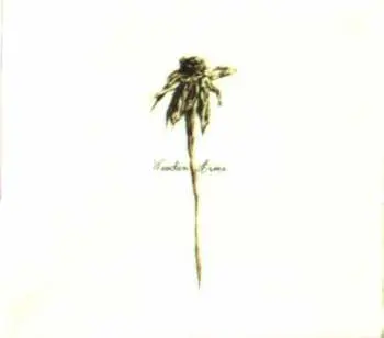CD Patrick Watson: Wooden Arms DIGI