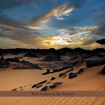 CD Perry Robinson: Two Voices In The Desert