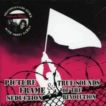 CD Picture Frame Seduction: Skateboarding Down Merlins Hill With Penny Harry