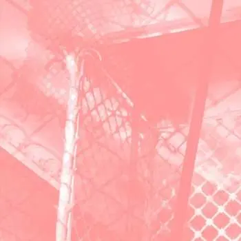 CD Pinkcourtesyphone: All Intensive Purposes LTD