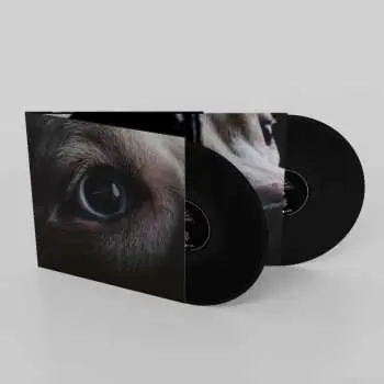 2LP Roger Waters: The Dark Side Of The Moon Redux