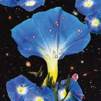 LP Sarah Louise: Nighttime Birds And Morning Stars