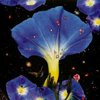 LP Sarah Louise: Nighttime Birds And Morning Stars