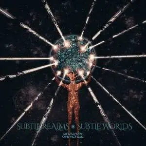 LP Shadow Universe: Subtle Realms, Subtle Worlds