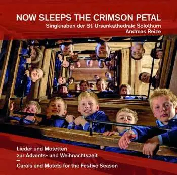 CD Singknaben Der St. Ursen Kathedrale: Now Sleeps The Crimson Petal