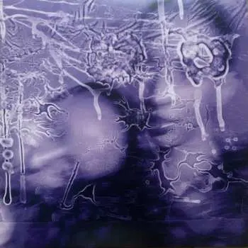 LP Sirens Of Lesbos: i got a song, it’s gonna make us millions CLR