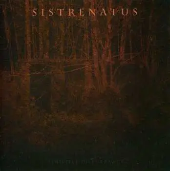 CD Sistrenatus: Sensitive Disturbance