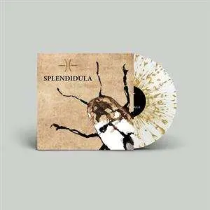 LP Splendidula: Splendidula CLR | LTD