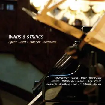 CD Louis Spohr: Winds & Strings