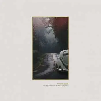 2LP Steve Bug: Never Ending Winding Roads DLX