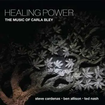 CD Steve Cardenas: Healing Power The Music Of Carla Bley