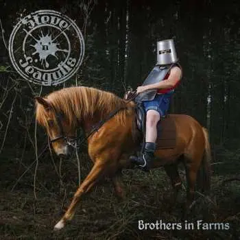 2LP Steve'n'Seagulls: Brothers In Farms