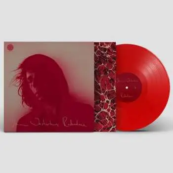 LP Stian Westerhus: Redundance CLR