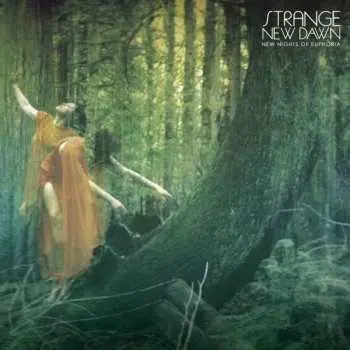 LP Strange New Dawn: New Nights Of Euphoria (classic Black Vinyl)