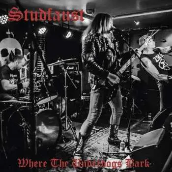 LP Studfaust: Where The Underdogs Bark LTD | CLR