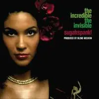 LP Sugahspank!: The Incredible The Invisible LTD