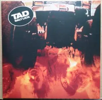 LP Tad: Salt Lick LTD | CLR
