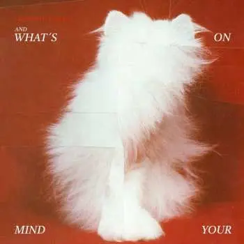 LP Talking To Turtles: And What's On Your Mind
