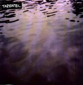 2LP Tarentel: We Move Through Weather