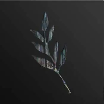 LP The Album Leaf: An Orchestrated Rise To Fall CLR | LTD
