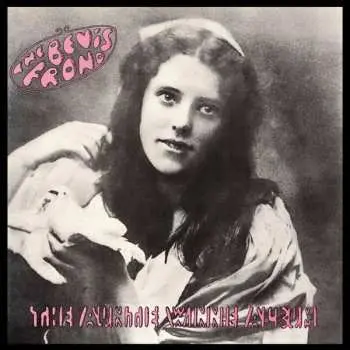 2CD The Bevis Frond: The Auntie Winnie Album