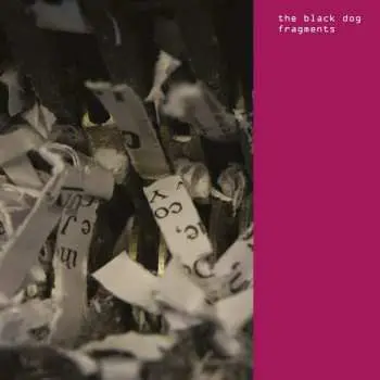 CD The Black Dog: Fragments LTD