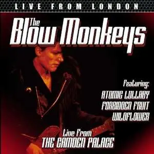 CD The Blow Monkeys: Live From London