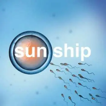EP The Brian Jonestown Massacre: The Sun Ship LTD | NUM | CLR
