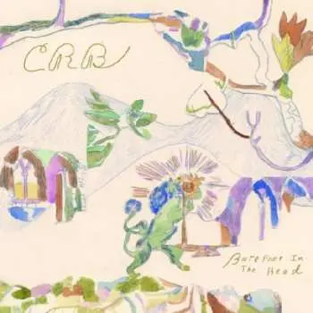 CD The Chris Robinson Brotherhood: Barefoot In The Head