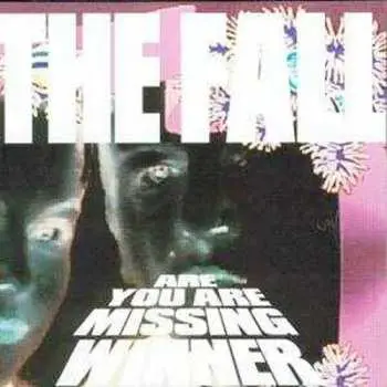 CD The Fall: Are You Are Missing Winner
