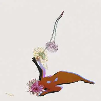 LP Future Islands: The Far Field