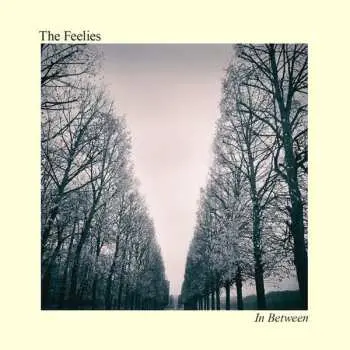 LP The Feelies: In Between