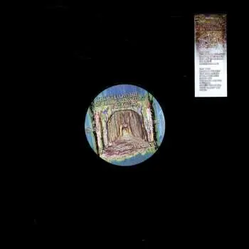 LP The Fellowship Of Hallucinatory Voyagers: The Imaginary Gallery CLR | LTD