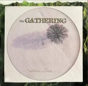 LP The Gathering: Nighttime Birds LTD | PIC