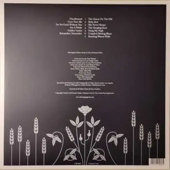 LP The Hanging Stars: Over The Silvery Lake