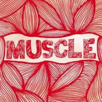 LP The Lightheads: The Lightheads // Muscle Dungeon Split 7"