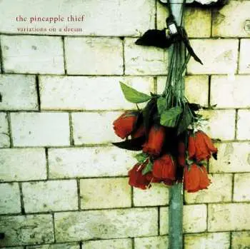 CD The Pineapple Thief: Variations On A Dream