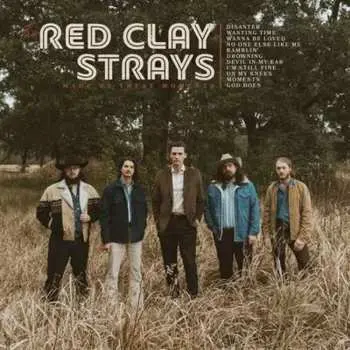 CD The Red Clay Strays: Made By These Moments